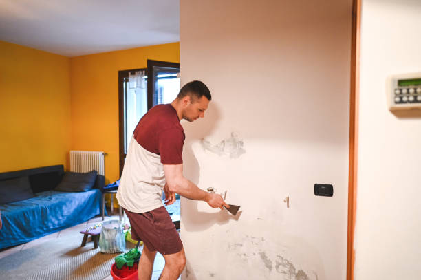 Best Mold Cleaning Services  in Chicago Ridge, IL
